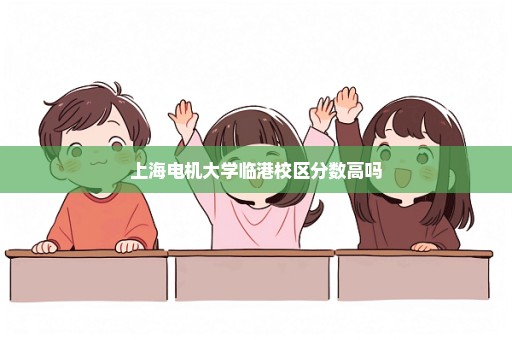 上海电机大学临港校区分数高吗