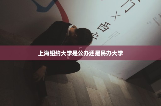 上海纽约大学是公办还是民办大学