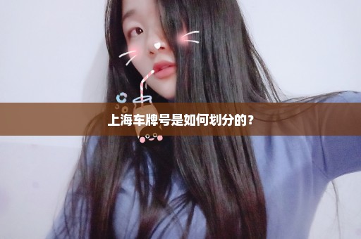 上海车牌号是如何划分的？