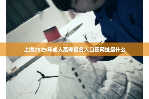 上海2025年成人高考报名入口及网址是什么