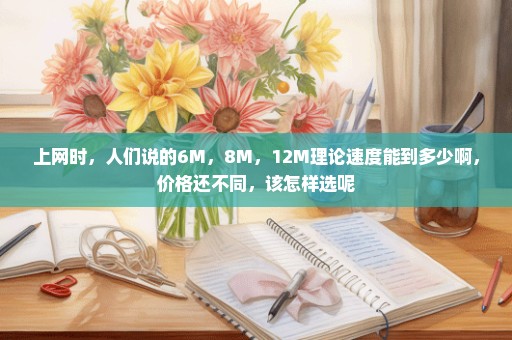 上网时，人们说的6M，8M，12M理论速度能到多少啊，价格还不同，该怎样选呢