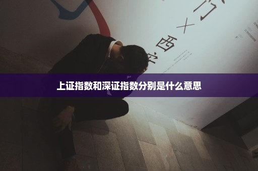 上证指数和深证指数分别是什么意思