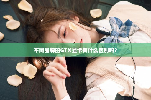 不同品牌的GTX显卡有什么区别吗？