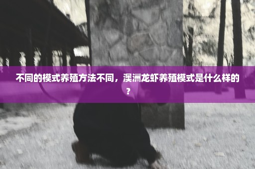 不同的模式养殖方法不同，澳洲龙虾养殖模式是什么样的？