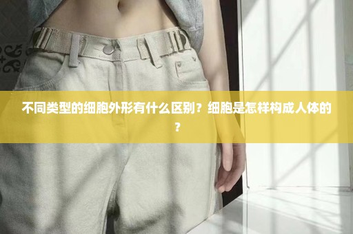 不同类型的细胞外形有什么区别？细胞是怎样构成人体的？