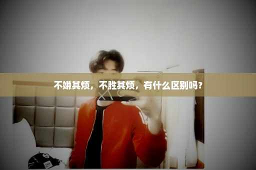 不嫌其烦，不胜其烦，有什么区别吗？