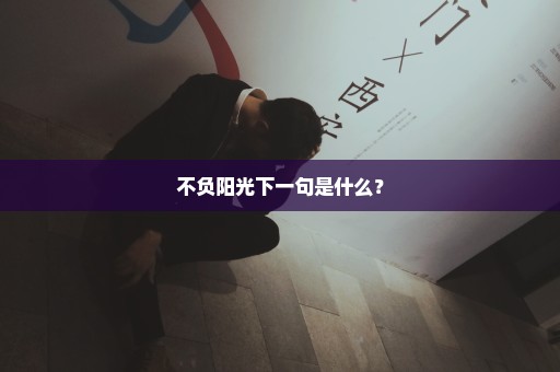 不负阳光下一句是什么？