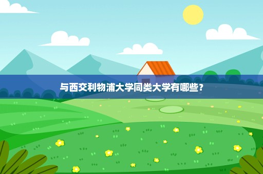 与西交利物浦大学同类大学有哪些？