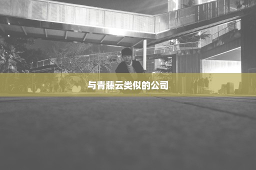 与青藤云类似的公司