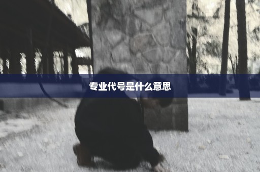 专业代号是什么意思