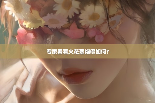 专家看看火花塞烧得如何?