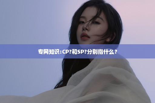 专网知识:CP?和SP?分别指什么？