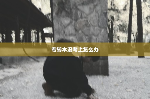 专转本没考上怎么办