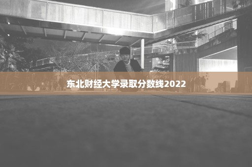 东北财经大学录取分数线2022