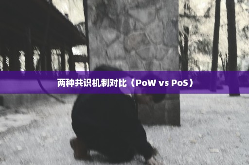 两种共识机制对比（PoW vs PoS）