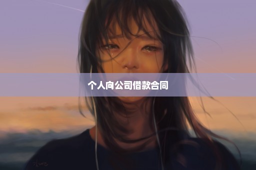 个人向公司借款合同