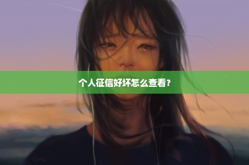 个人征信好坏怎么查看？