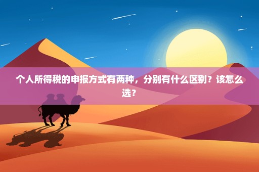 个人所得税的申报方式有两种，分别有什么区别？该怎么选？