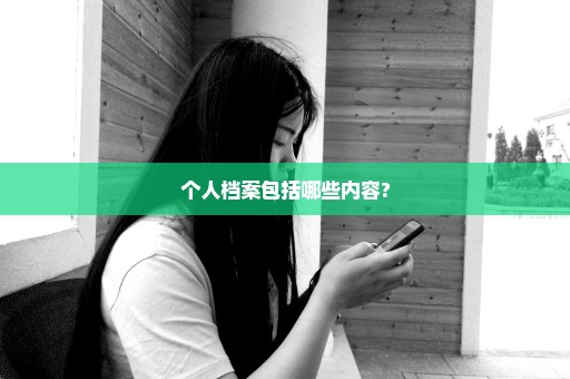 个人档案包括哪些内容?