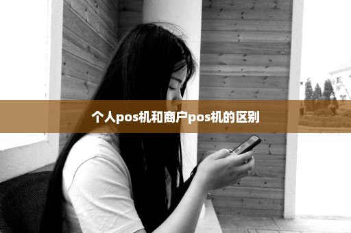 个人pos机和商户pos机的区别