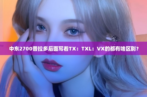 中东2700普拉多后面写着TX：TXL：VX的都有啥区别？