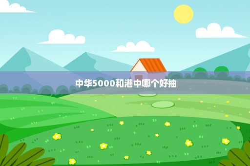 中华5000和港中哪个好抽