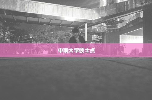 中南大学硕士点