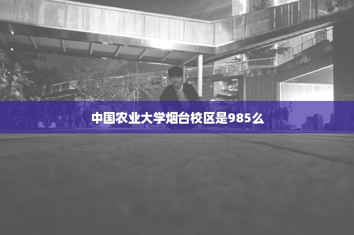 中国农业大学烟台校区是985么