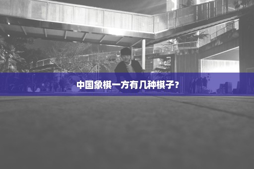 中国象棋一方有几种棋子？