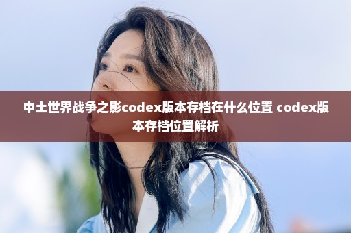 中土世界战争之影codex版本存档在什么位置 codex版本存档位置解析