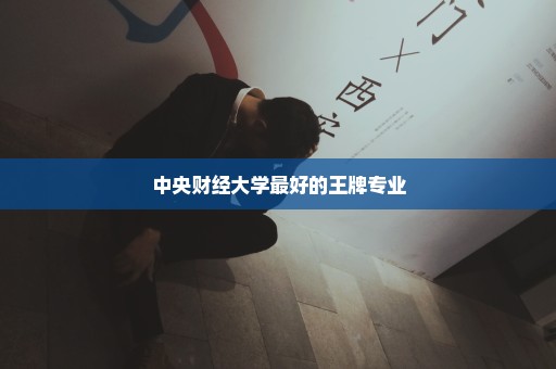 中央财经大学最好的王牌专业