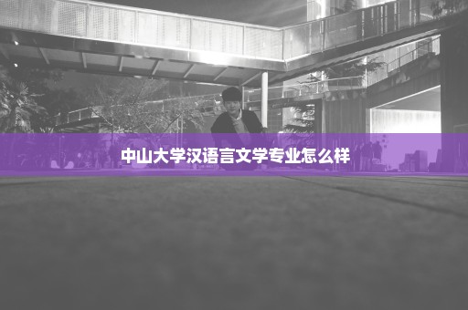 中山大学汉语言文学专业怎么样