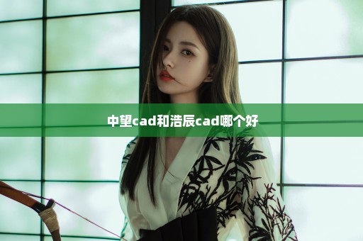 中望cad和浩辰cad哪个好