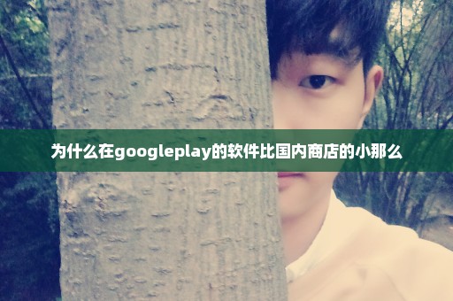 为什么在googleplay的软件比国内商店的小那么