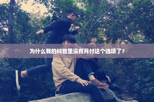 为什么我的抖音里没有月付这个选项了？