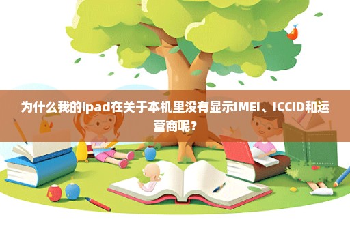 为什么我的ipad在关于本机里没有显示IMEI、ICCID和运营商呢？