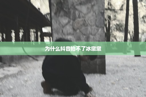 为什么抖音拍不了冰墩墩