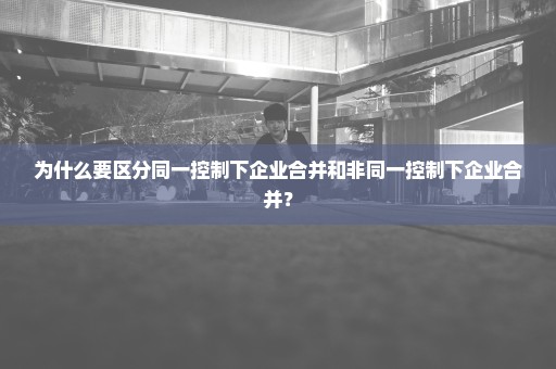 为什么要区分同一控制下企业合并和非同一控制下企业合并？