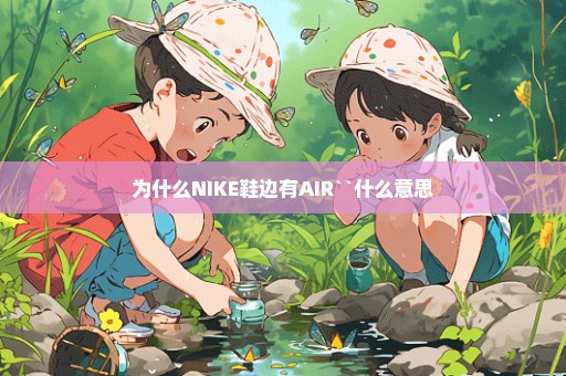 为什么NIKE鞋边有AIR``什么意思