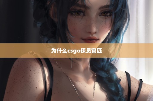 为什么csgo探员官匹