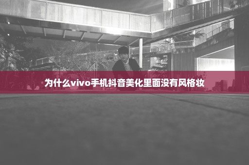 为什么vivo手机抖音美化里面没有风格妆