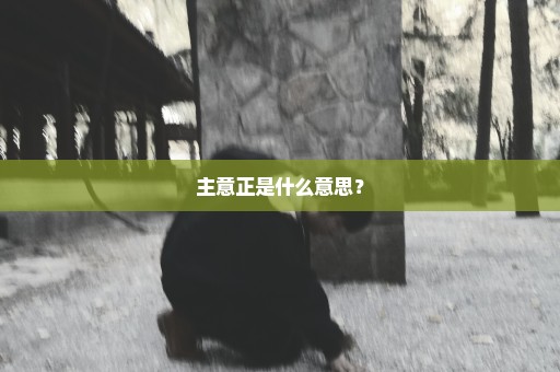 主意正是什么意思？