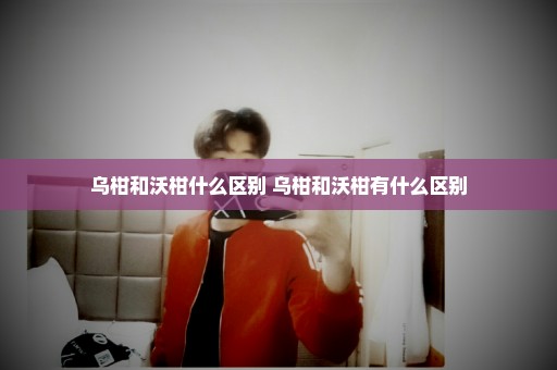 乌柑和沃柑什么区别 乌柑和沃柑有什么区别