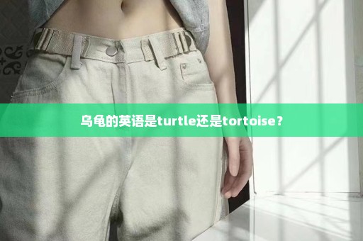 乌龟的英语是turtle还是tortoise？