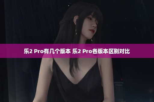 乐2 Pro有几个版本 乐2 Pro各版本区别对比