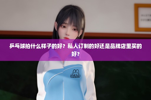 乒乓球拍什么样子的好？私人订制的好还是品牌店里买的好？