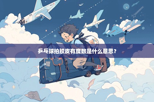 乒乓球拍胶皮有度数是什么意思？