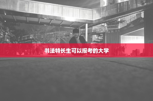 书法特长生可以报考的大学