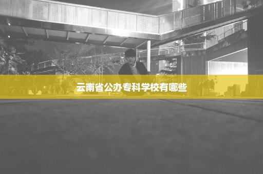 云南省公办专科学校有哪些