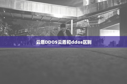 云盾DDOS云盾和ddos区别